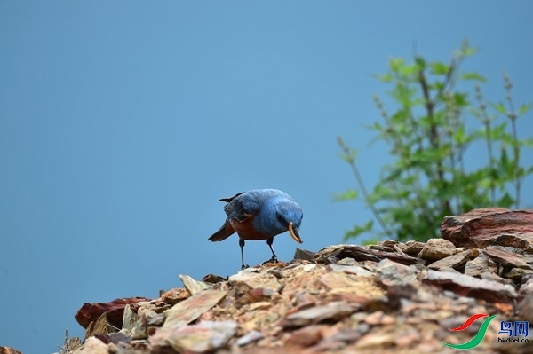 File0000051735.jpg