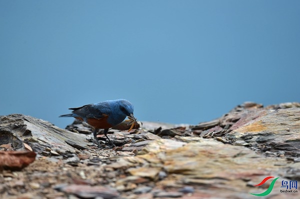 File0000051742.jpg