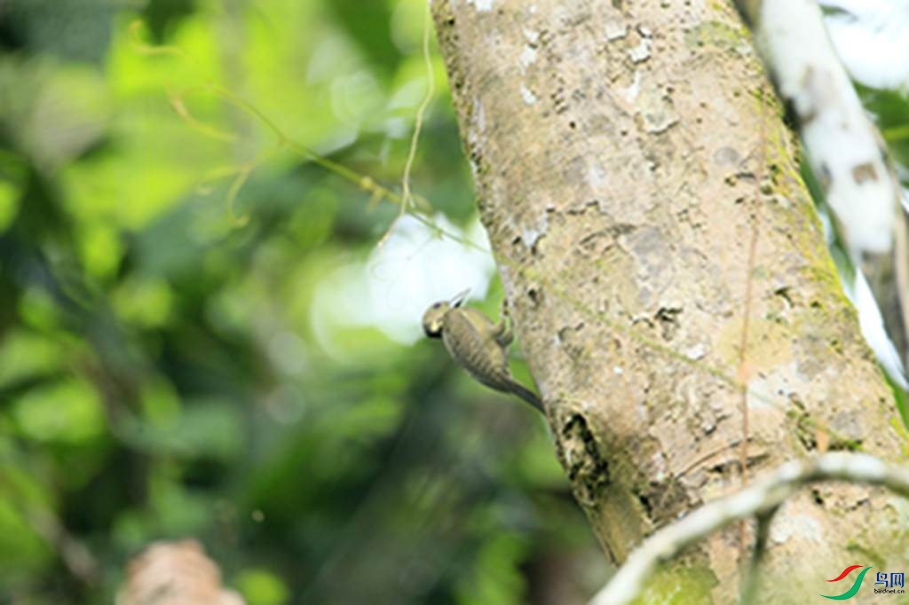 111.jpg