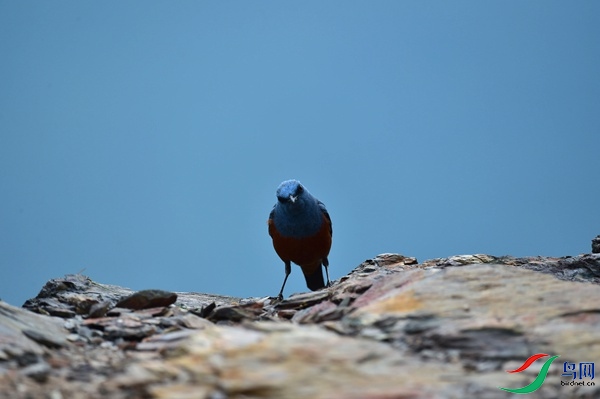 File0000051370.jpg
