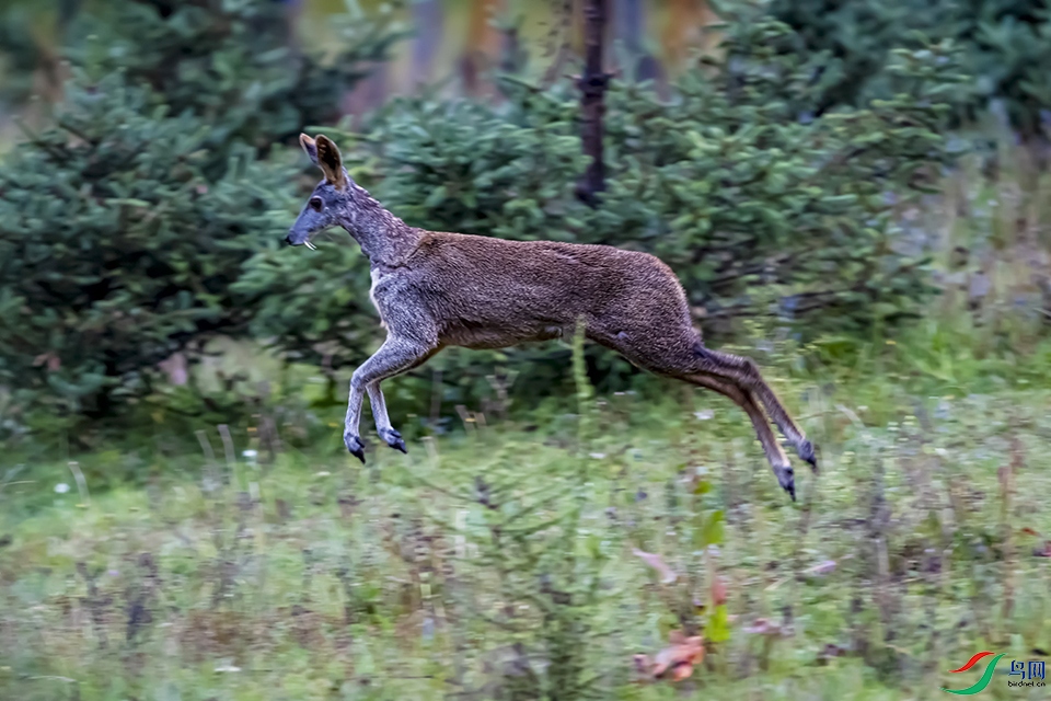 DSC_9624.jpg