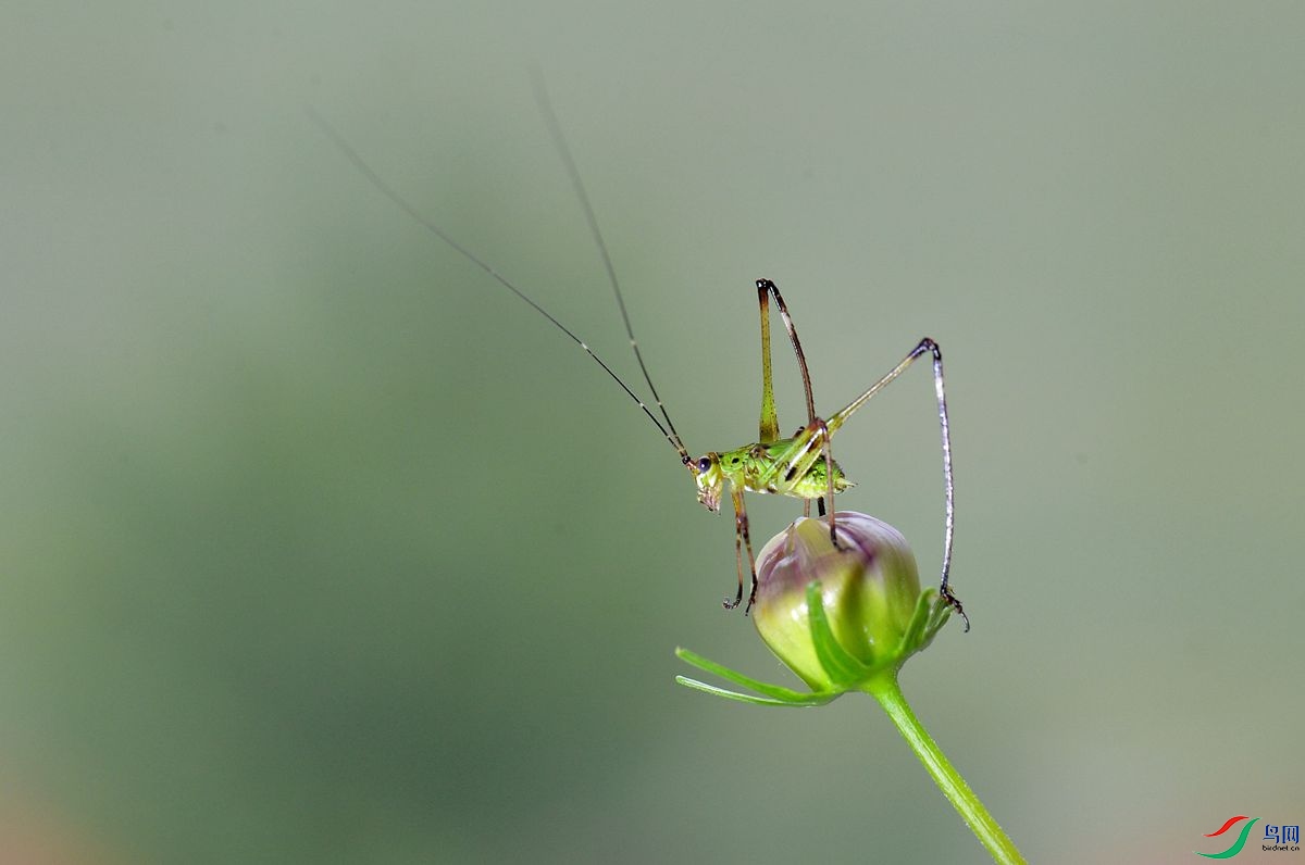 DSC_7932_����.jpg
