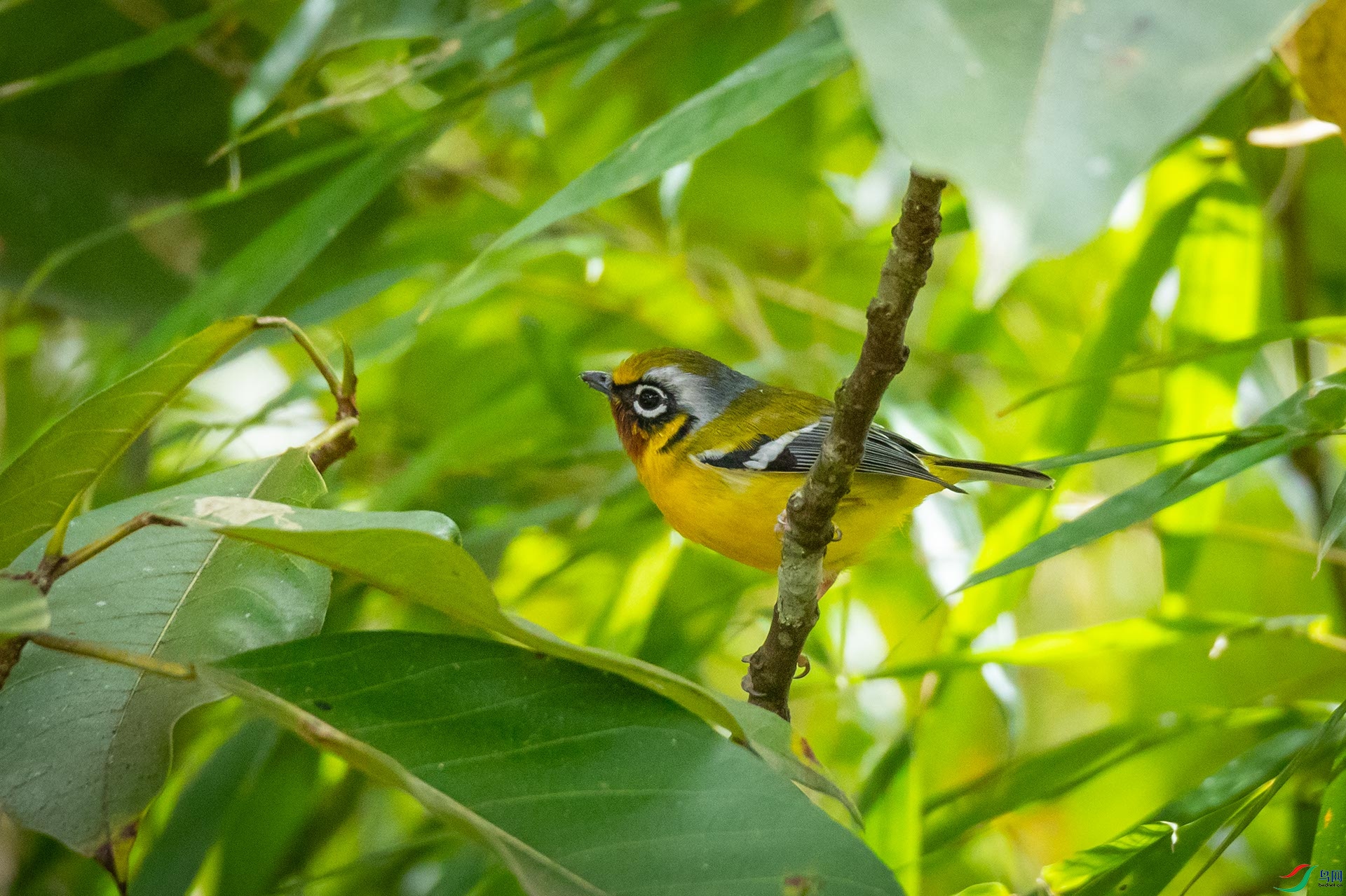 �����V��