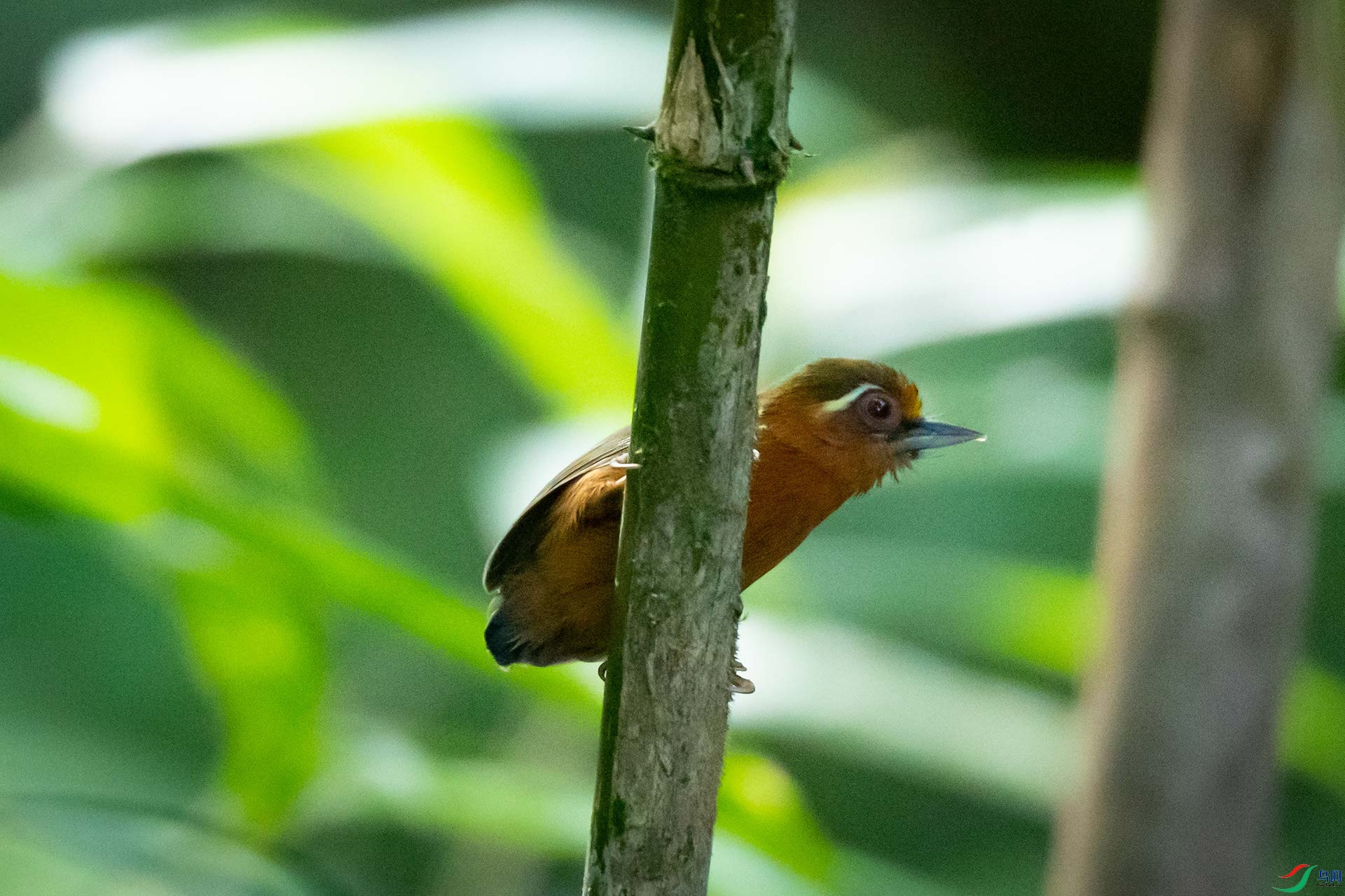 ��ü����ľ��