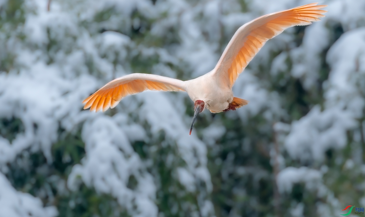 DSC_0152-2.jpg