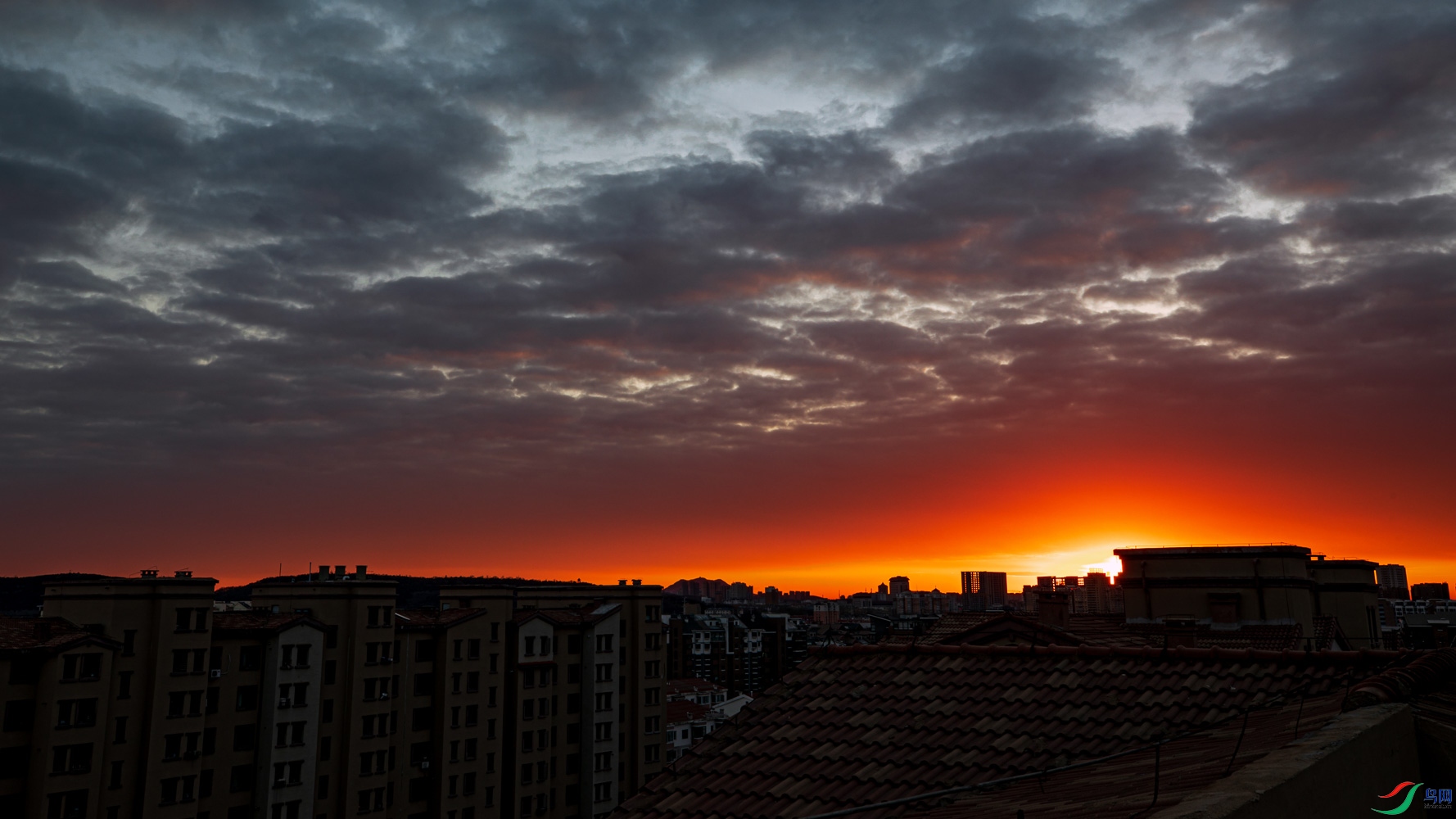 _H8A8703_3.jpg