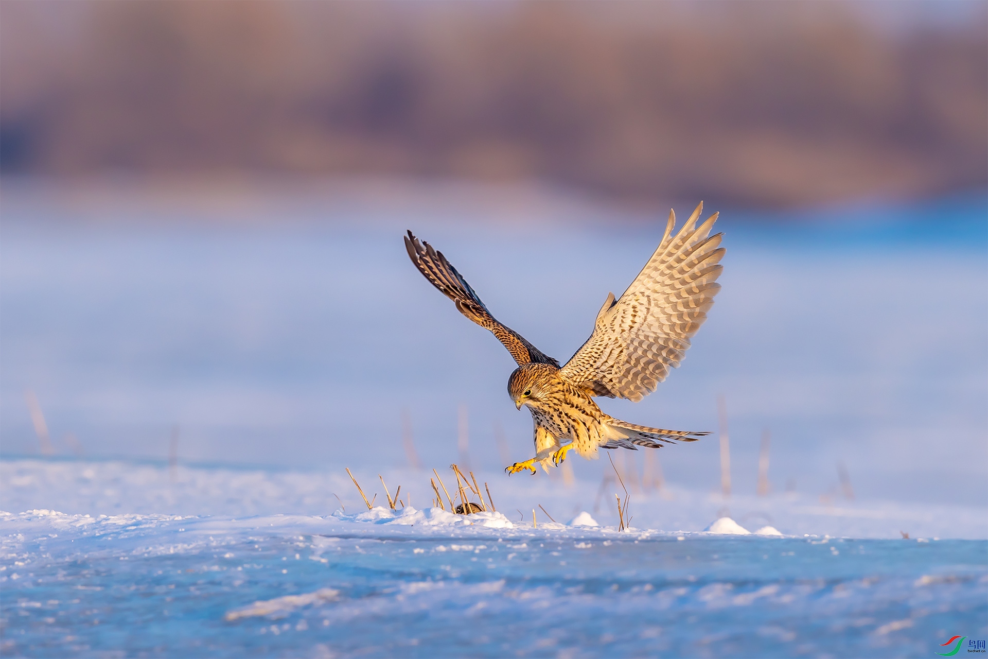 _06I9680-jpg.jpg