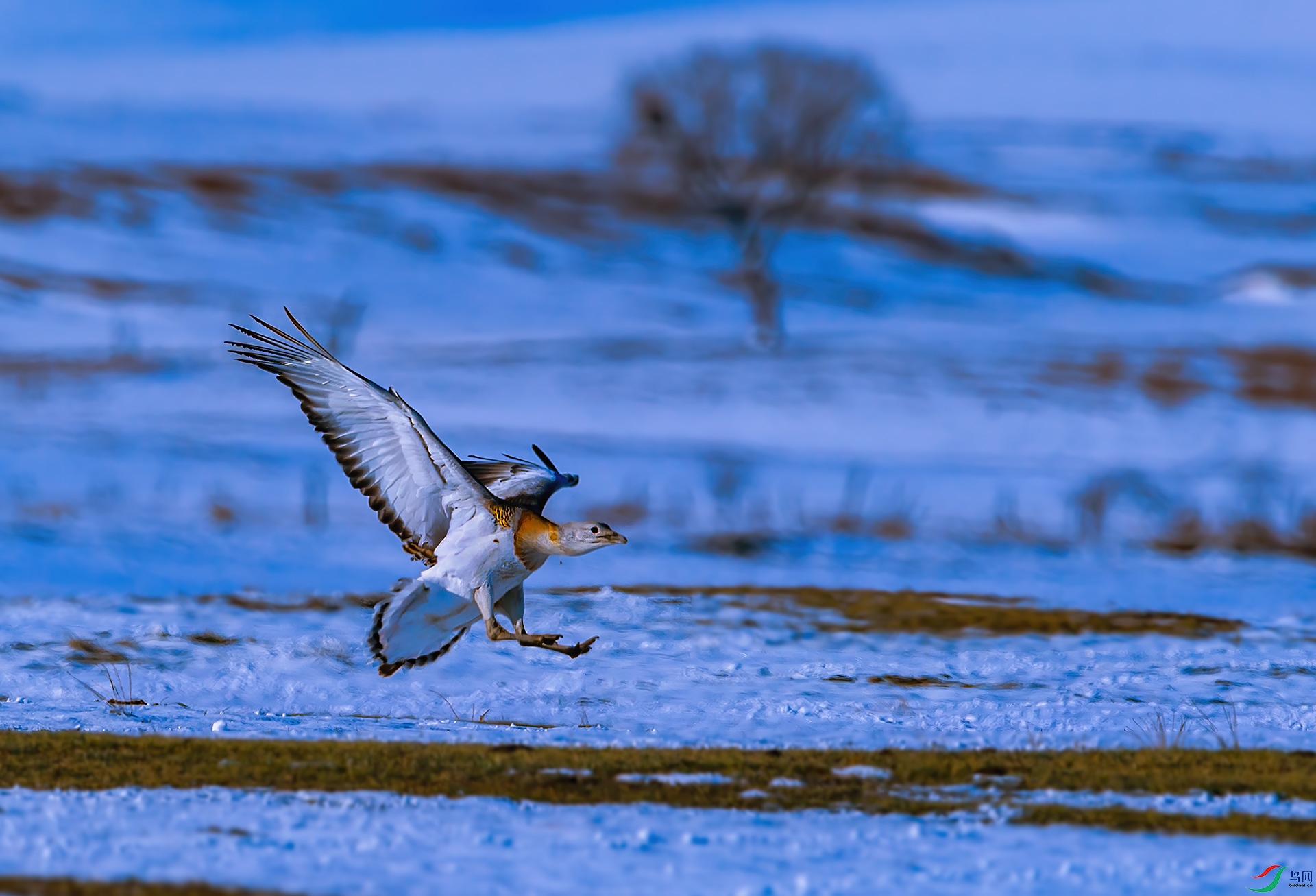 _DSC7903-0.jpg