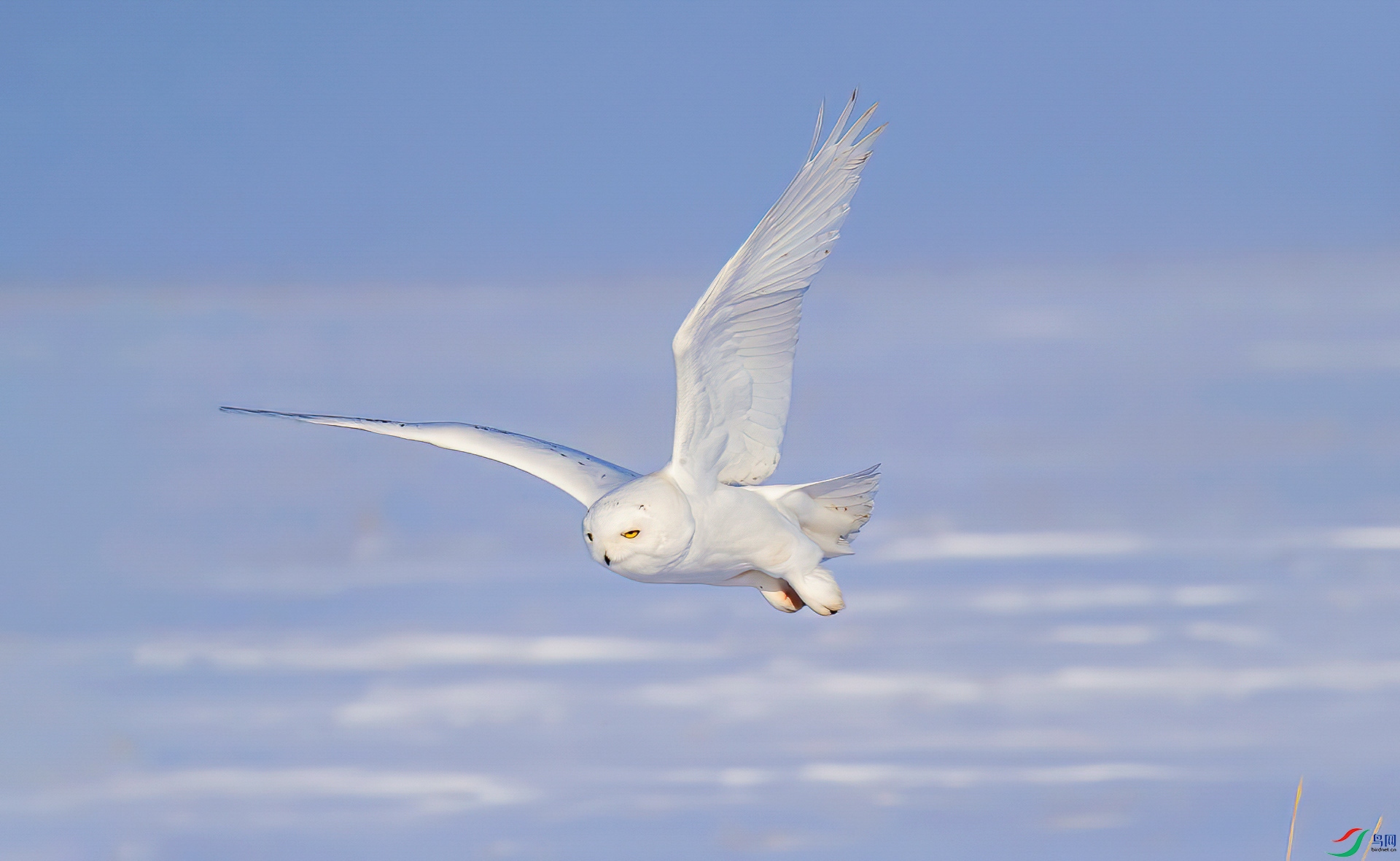 DSC_3455.jpg