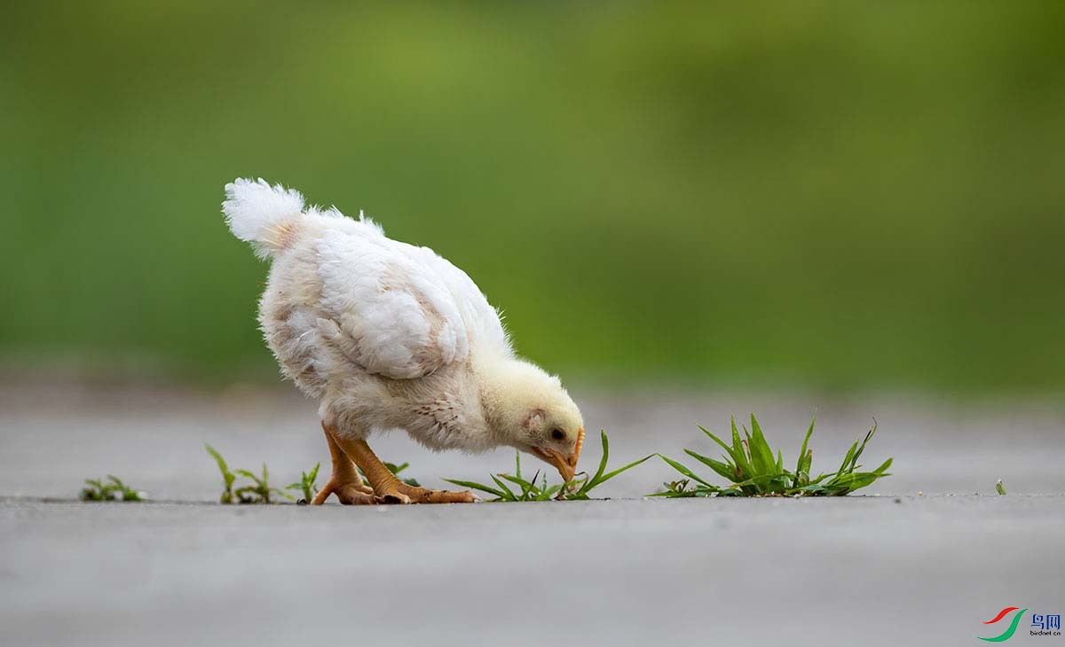 _DSC0741.jpg- - ����.tif-.jpg