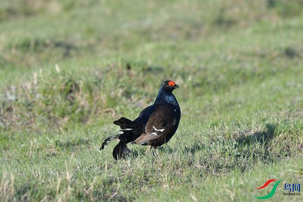 DSC_2509.jpg