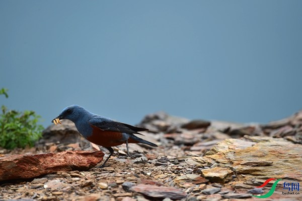 File0000051313.jpg