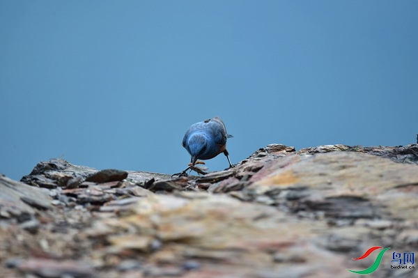 File0000051405.jpg