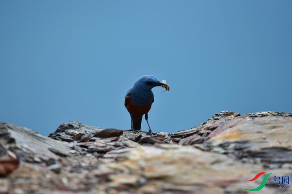 File0000051536.jpg
