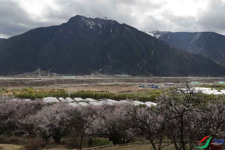 0S2A1558.JPG