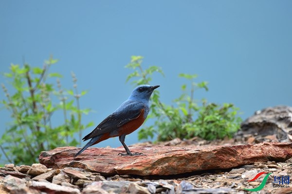 File0000051882.jpg