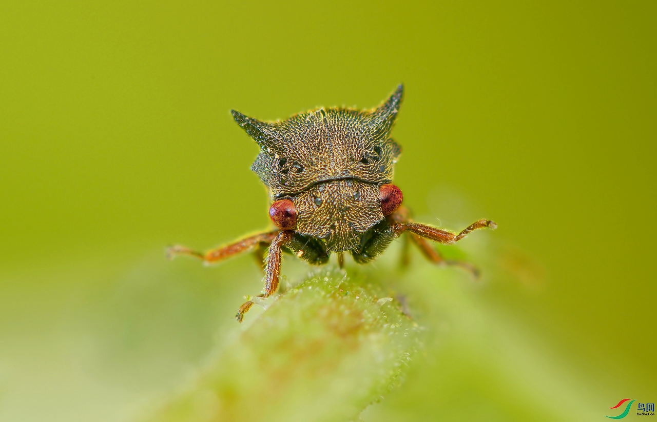 DSC_1899 ����.jpg