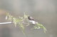 _C5R3545_����.jpg