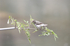 _C5R3541_���� - ����.jpg