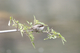 _C5R3550_���� - ����.jpg