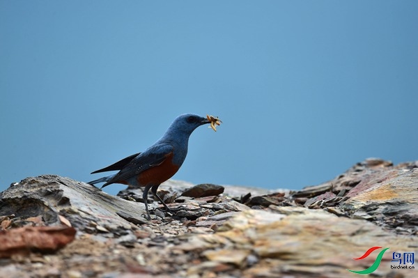 File0000051748.jpg