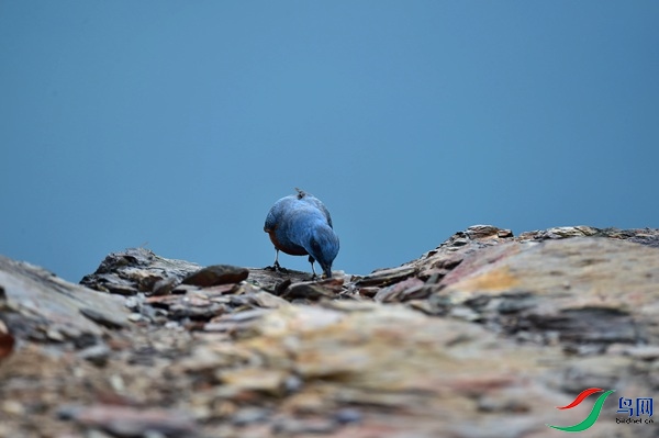 File0000051532.jpg