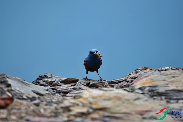 File0000051522.jpg