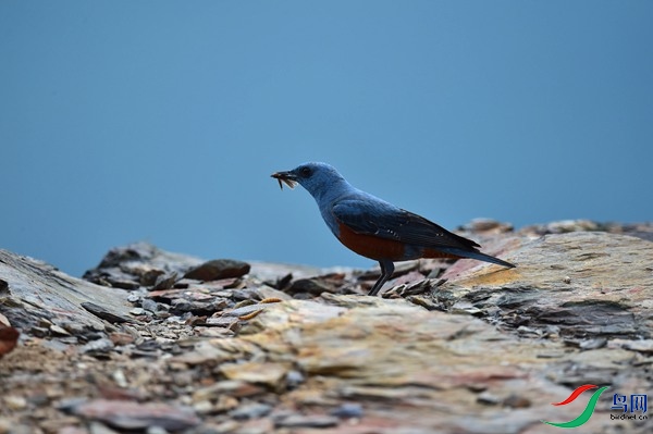 File0000051627.jpg