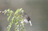 _C5R3522_���� - ���� - ����.jpg
