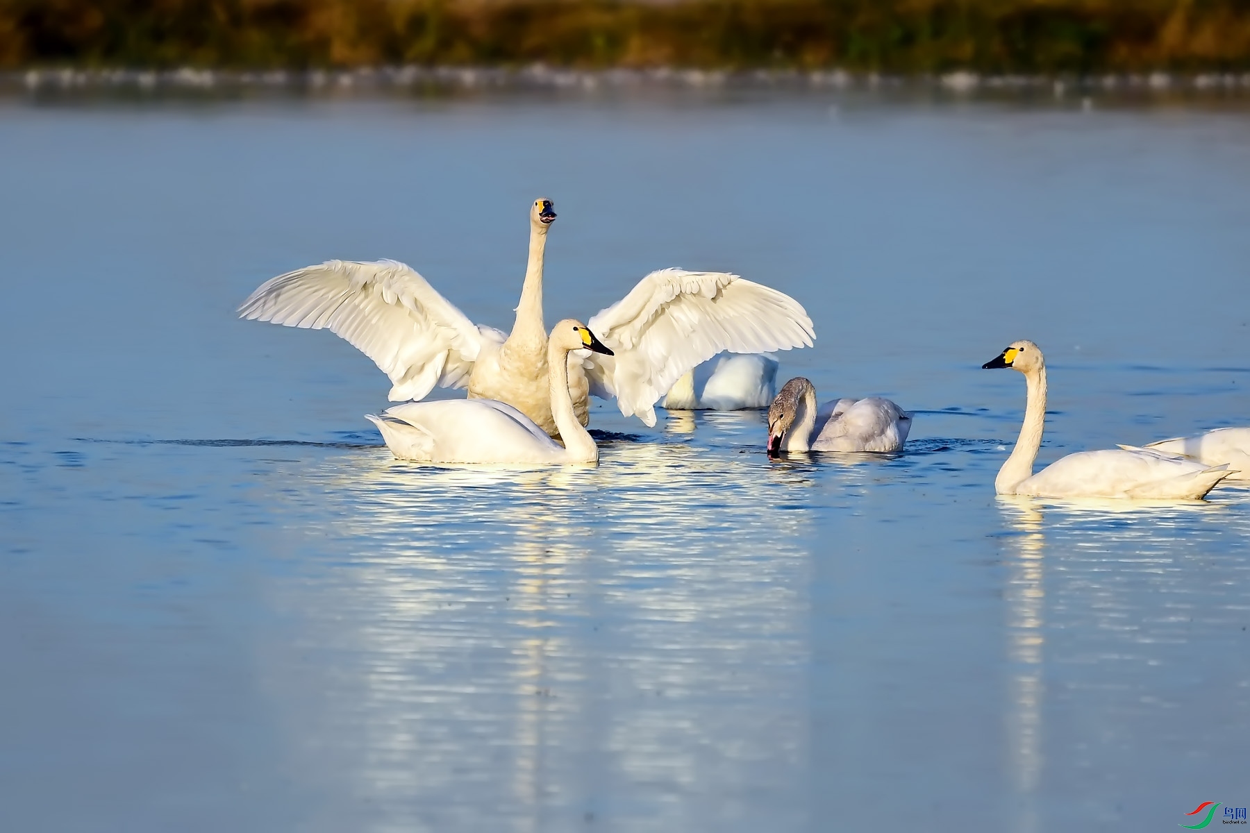 DSC_6392.jpg