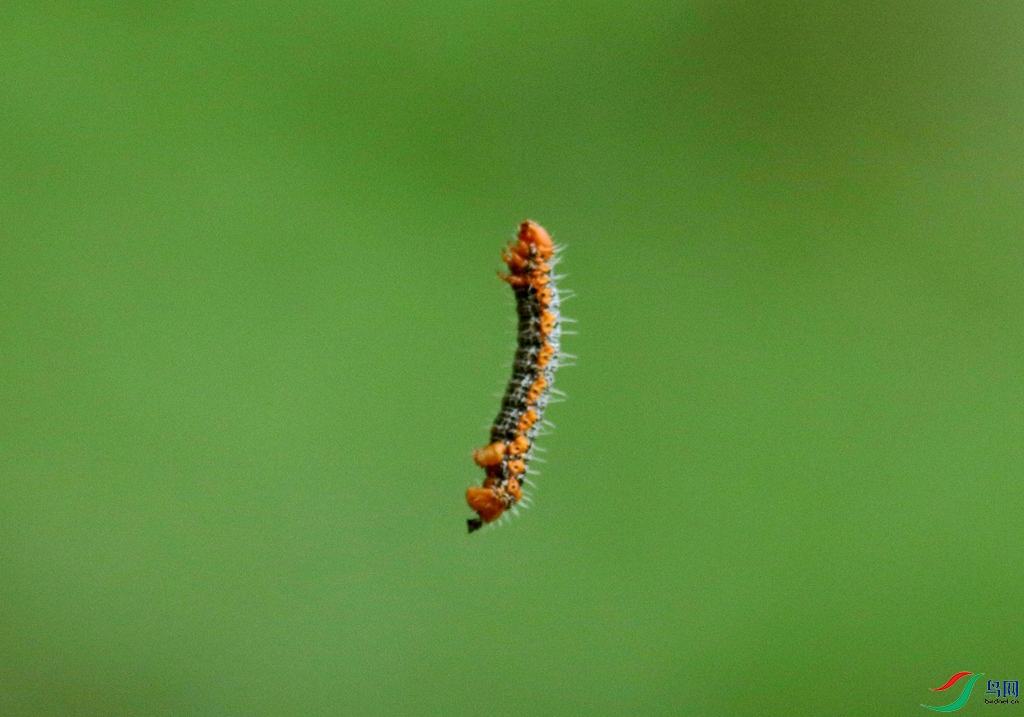 367A5400_����.jpg