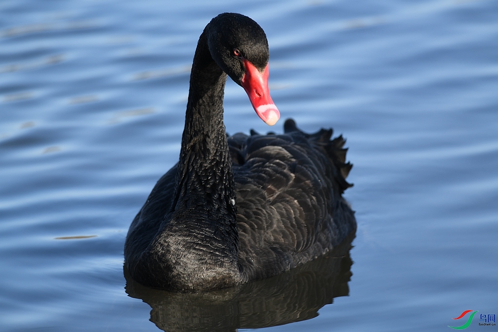 DSC_3566.JPG