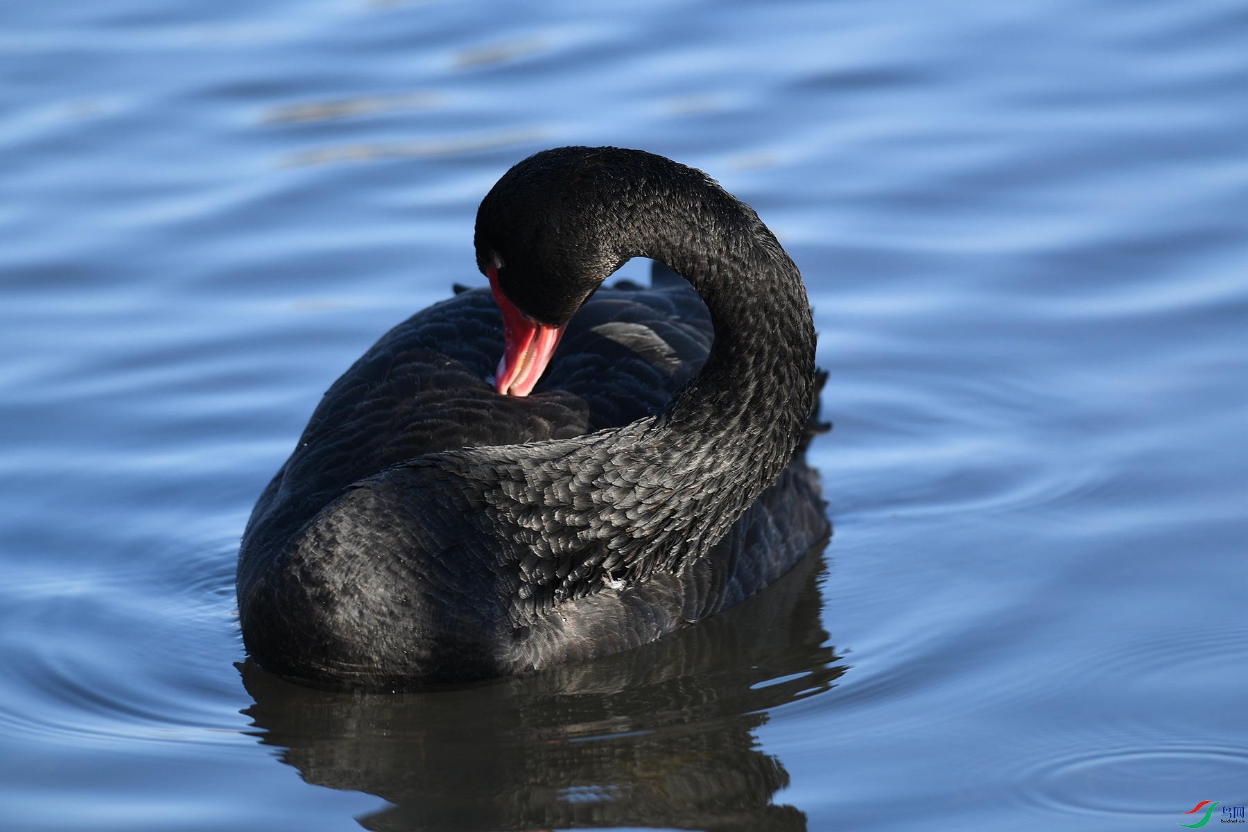 DSC_3567.JPG