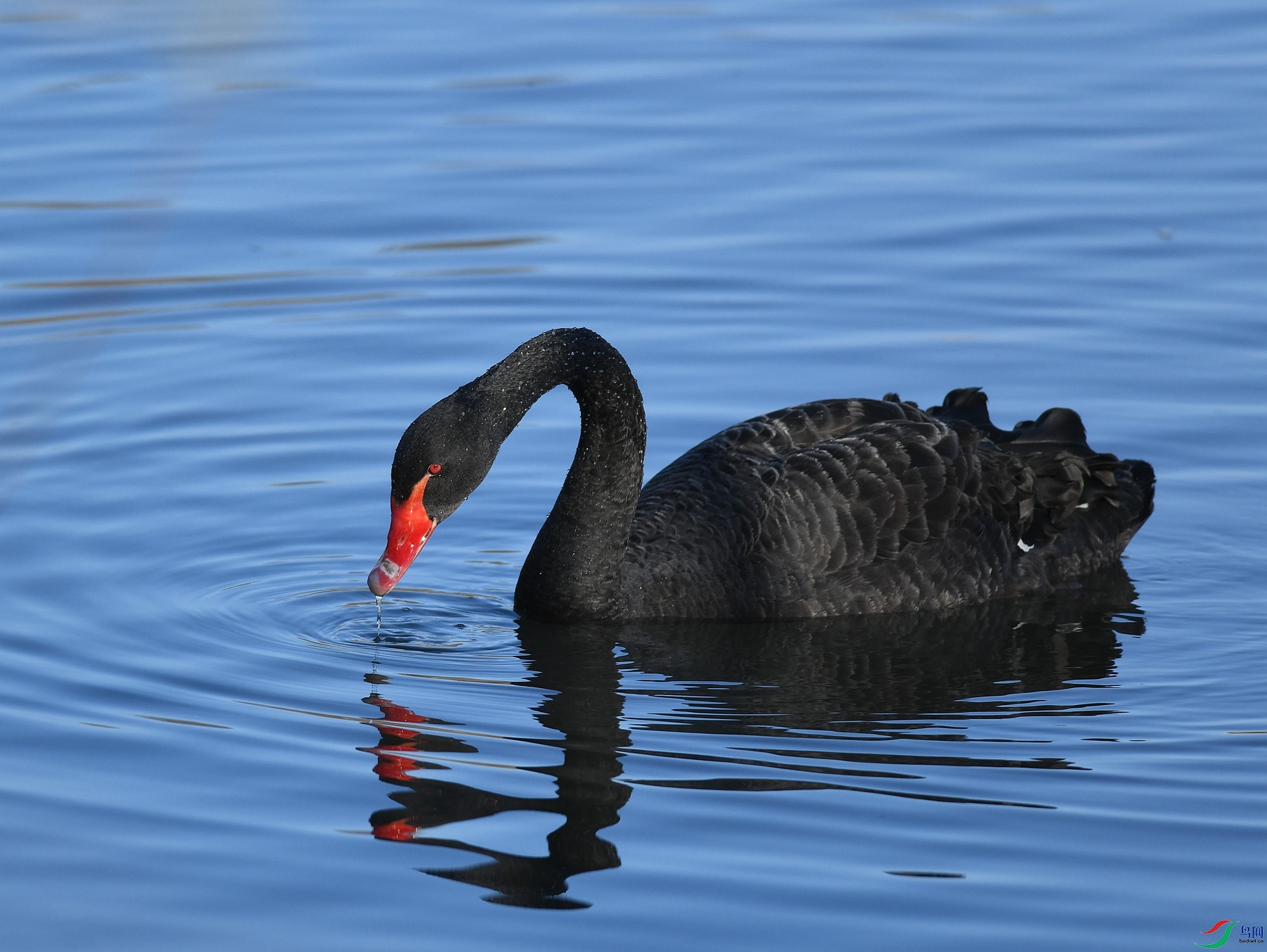 DSC_3579.JPG