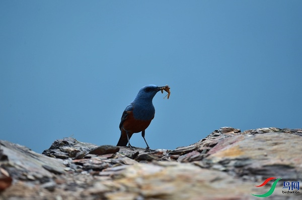 File0000051571.jpg