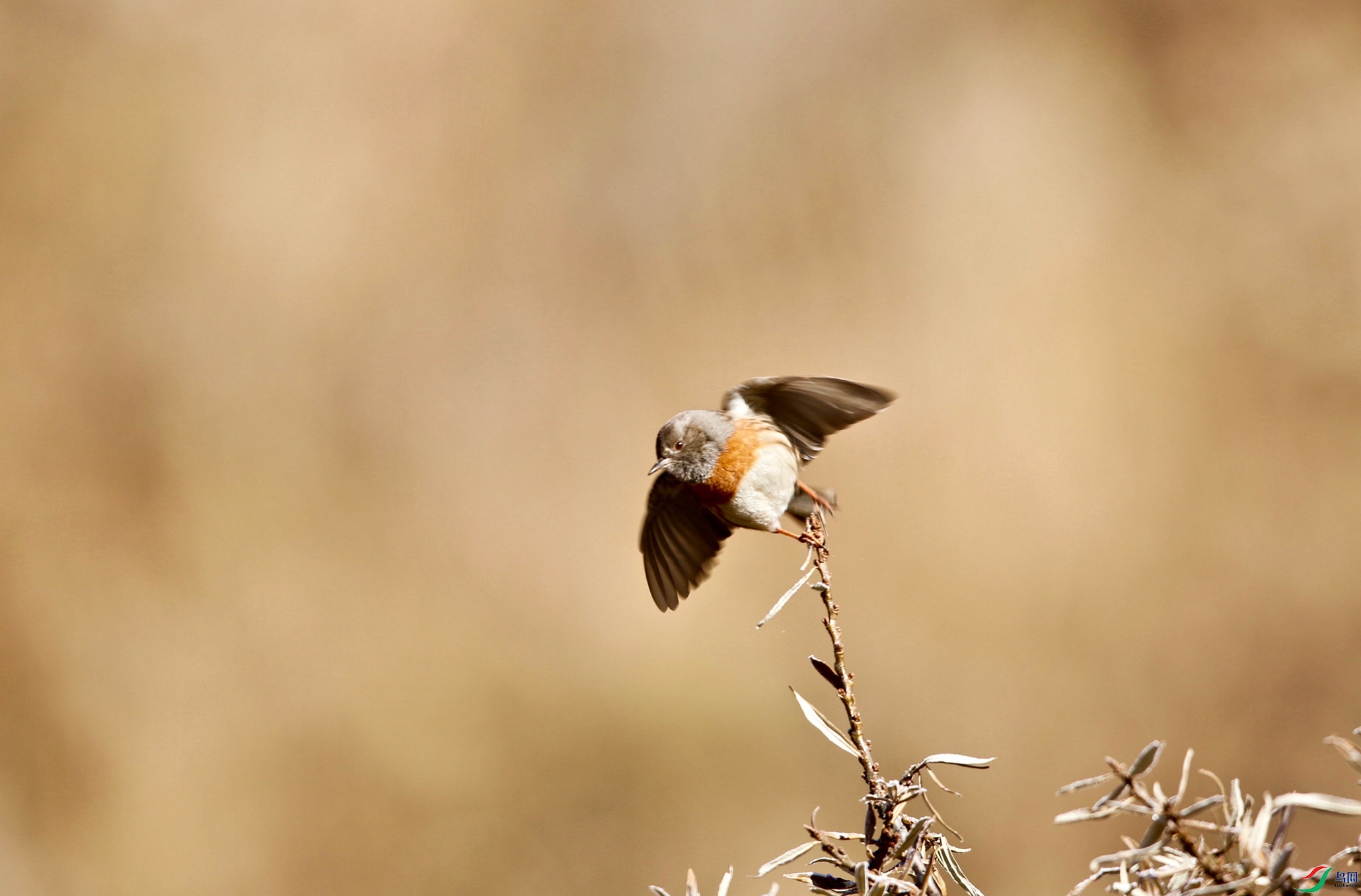 �����  - ����.jpeg