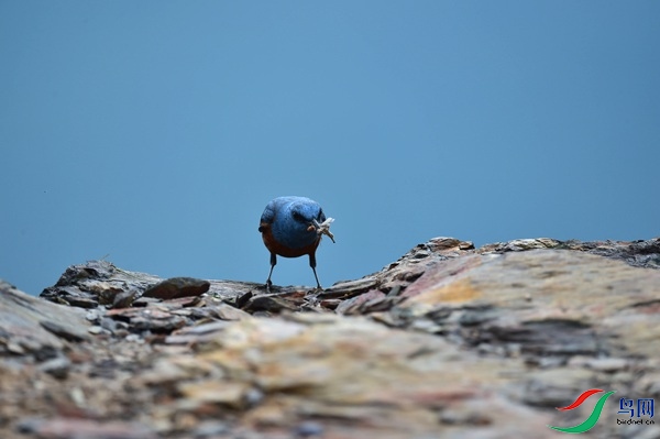File0000051414.jpg