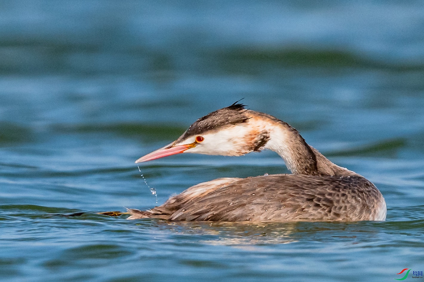 δ����-9.JPG