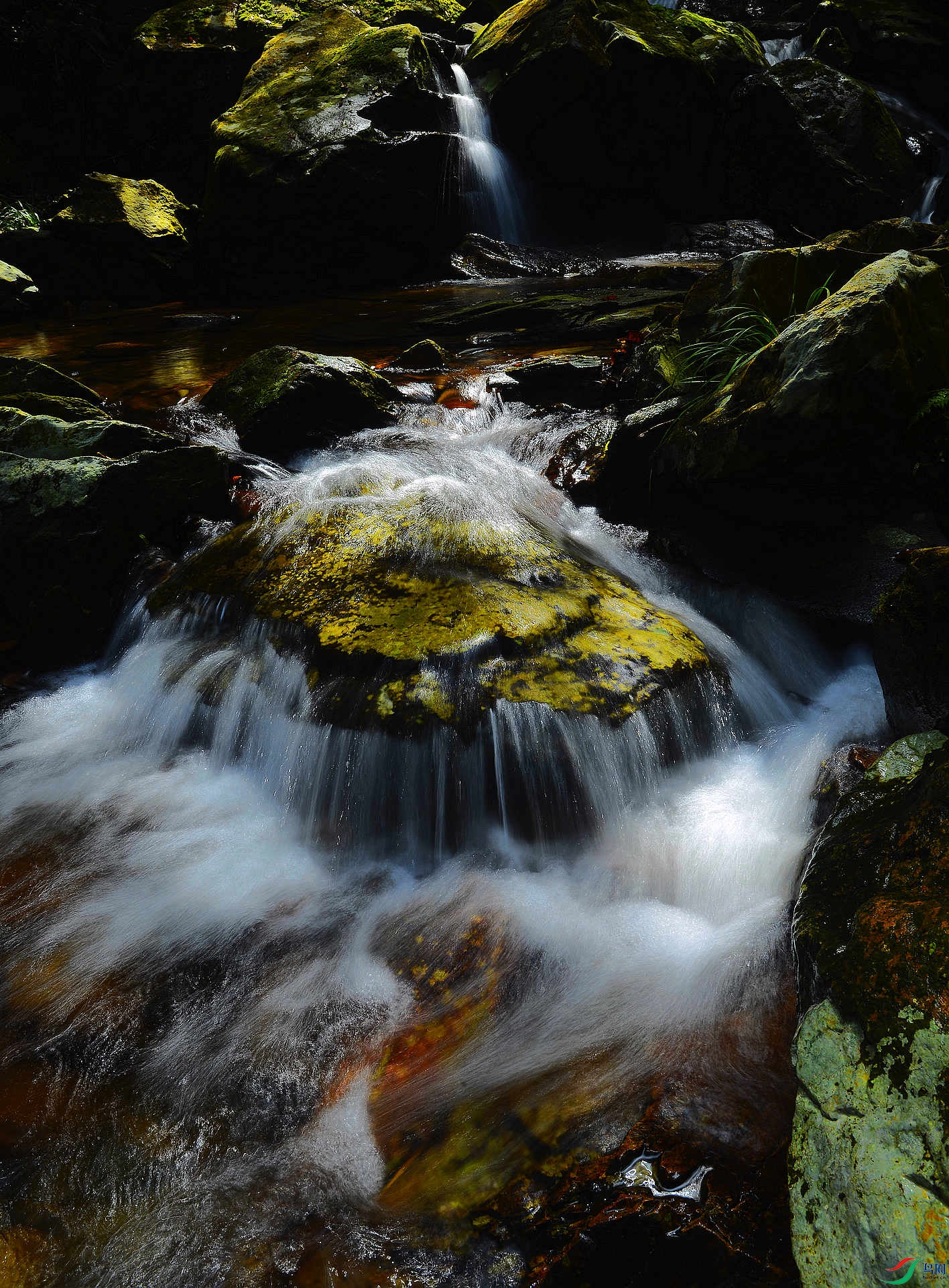 _D801092.jpg