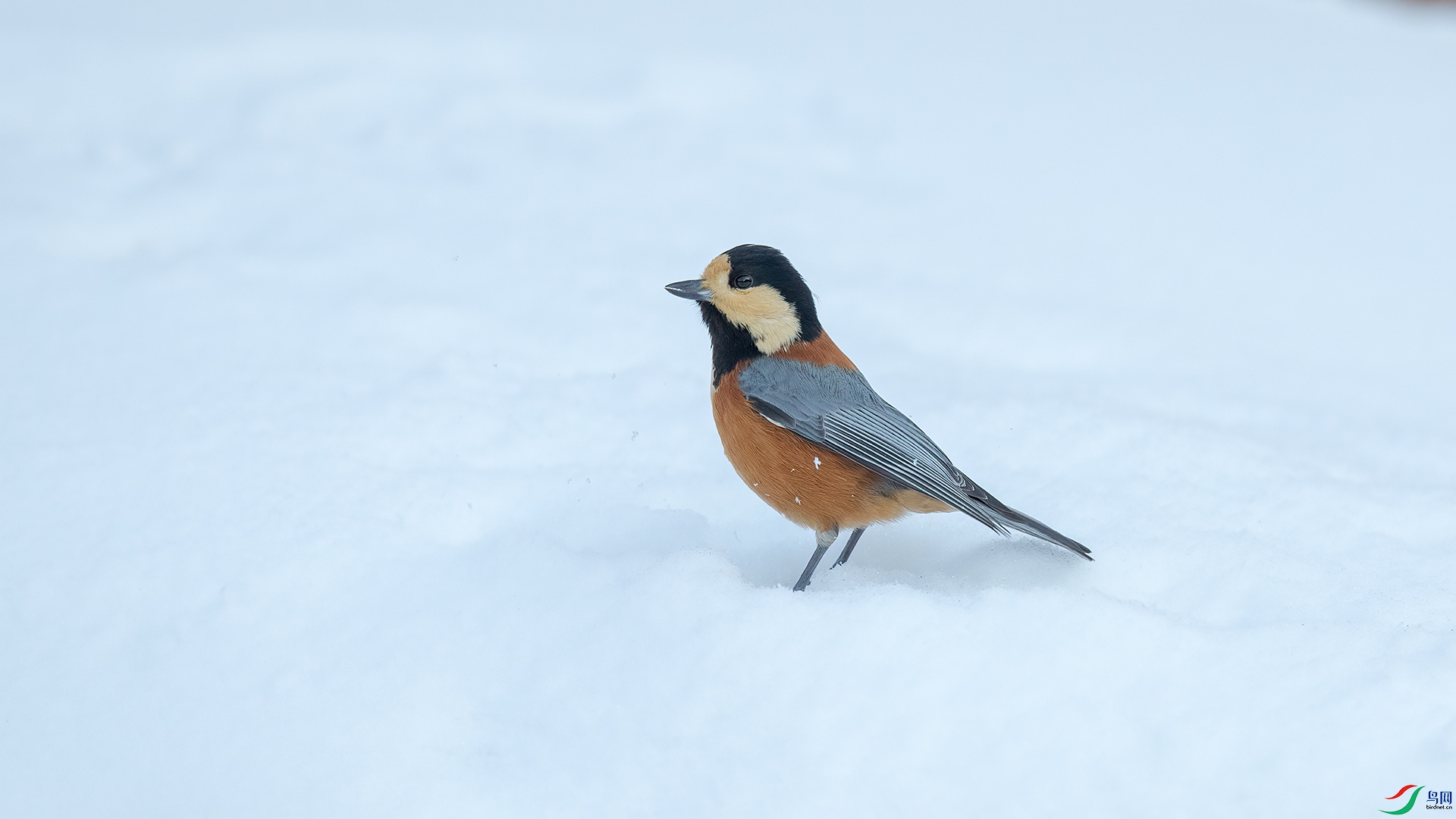 1DX_2144 ���� 2.jpg