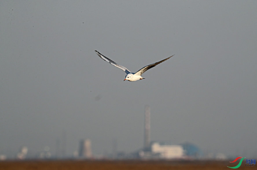 BW6I3420_����_����.jpg