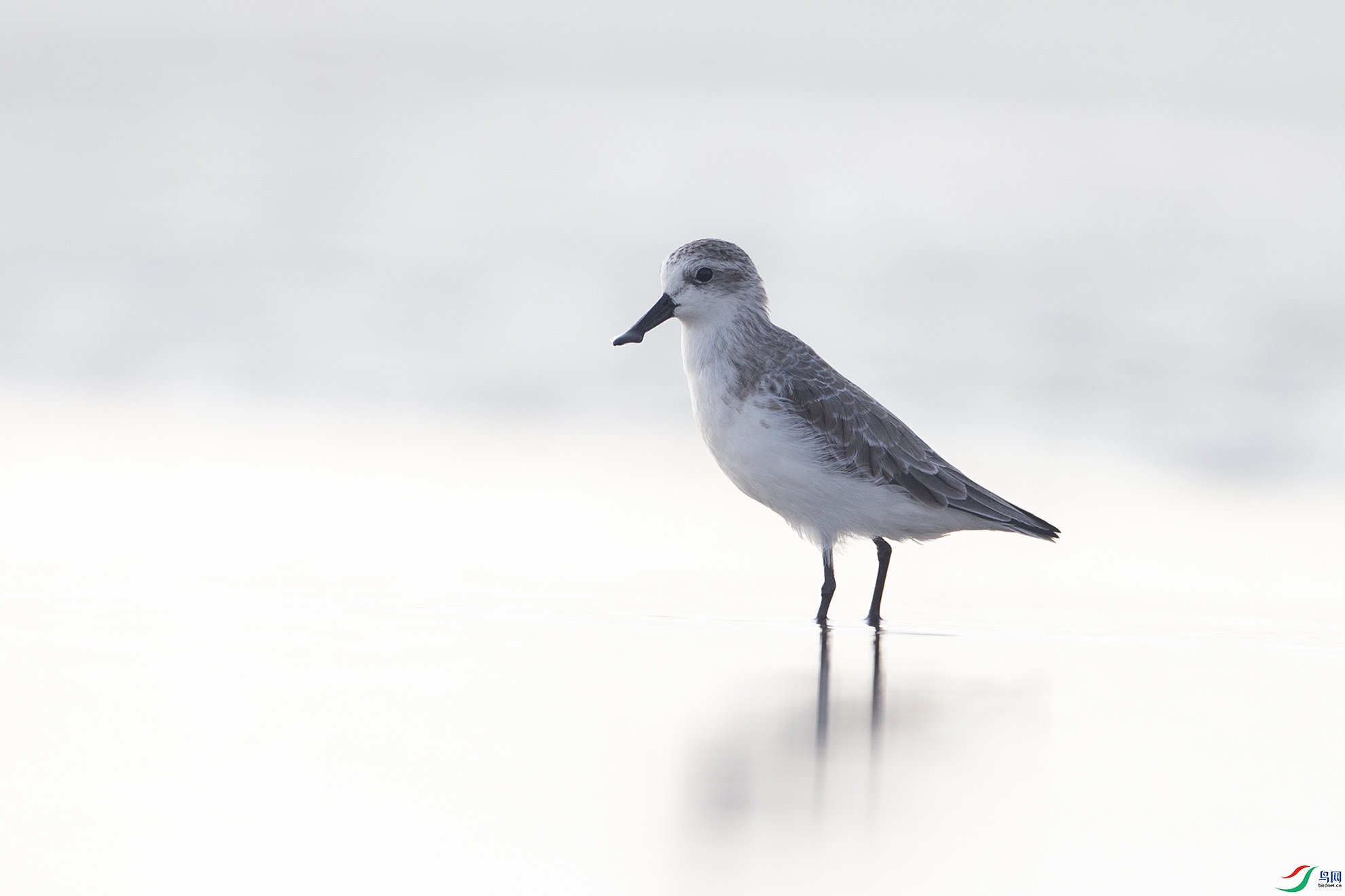 AY4R7112 ����.jpg