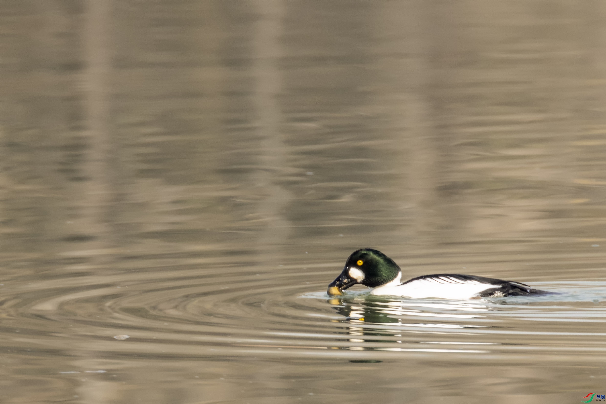 IMG_8761x.jpg