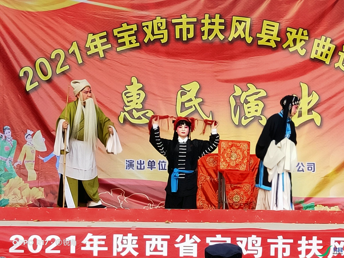 IMG20211126145819.jpg
