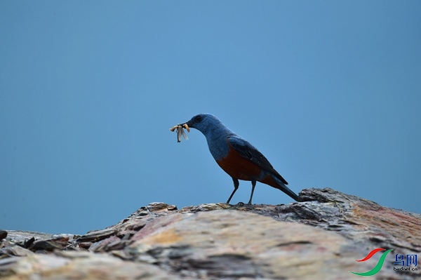 File0000051460.jpg