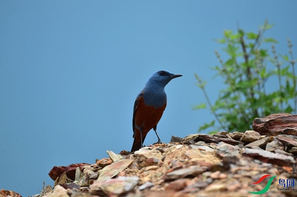 File0000051724.jpg