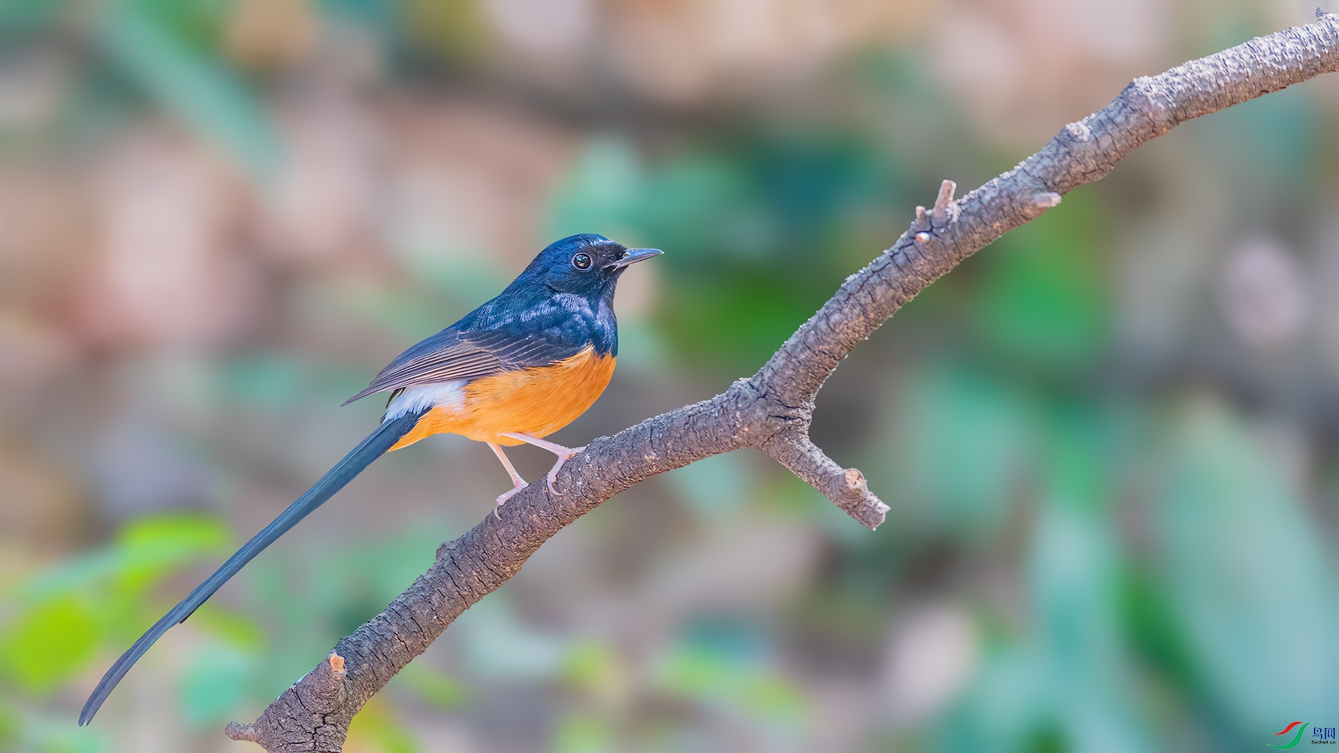 DSC_3510.jpg