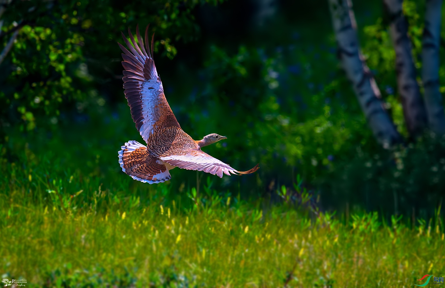 DSC_8895С.jpg