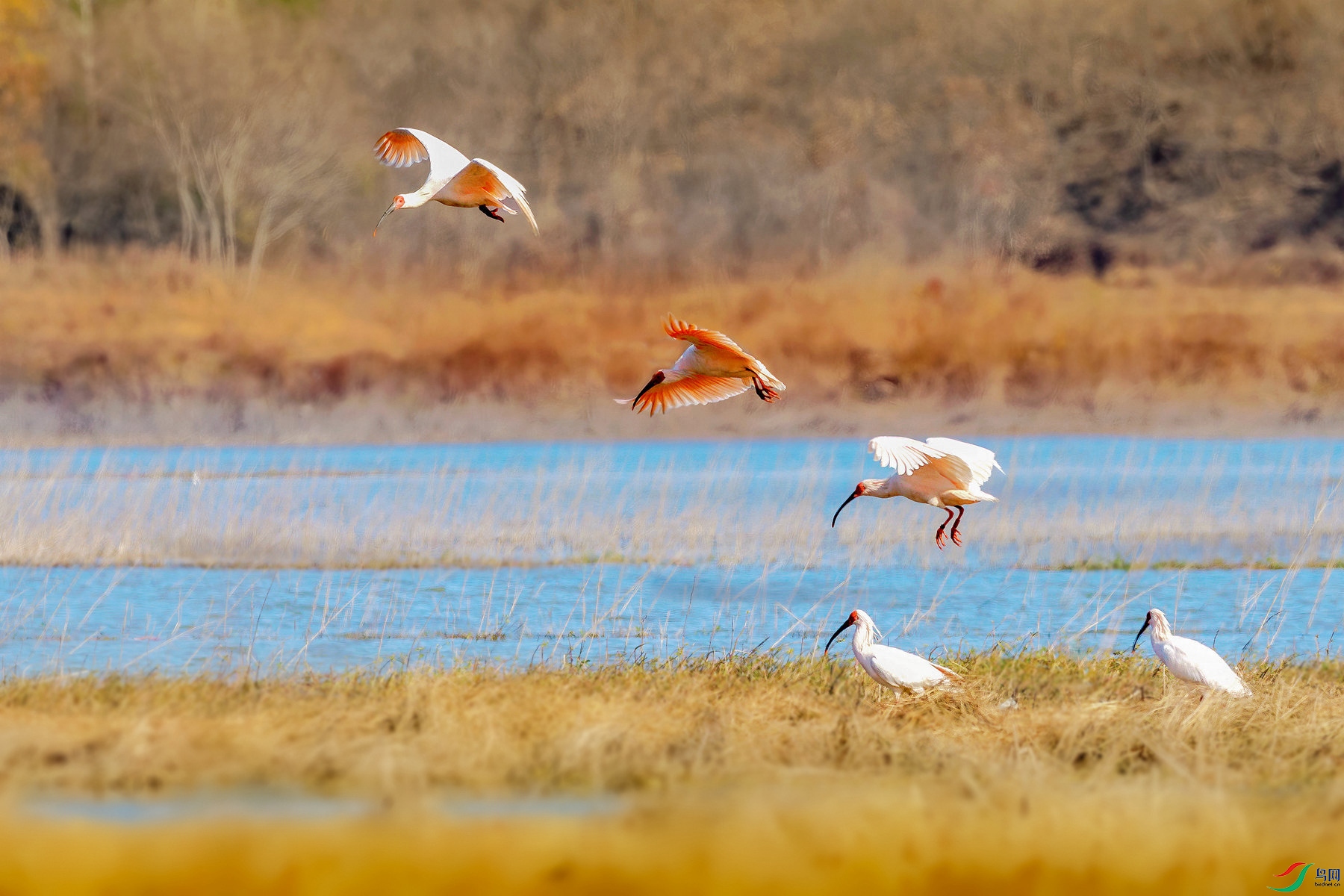 437A6632-3.jpg