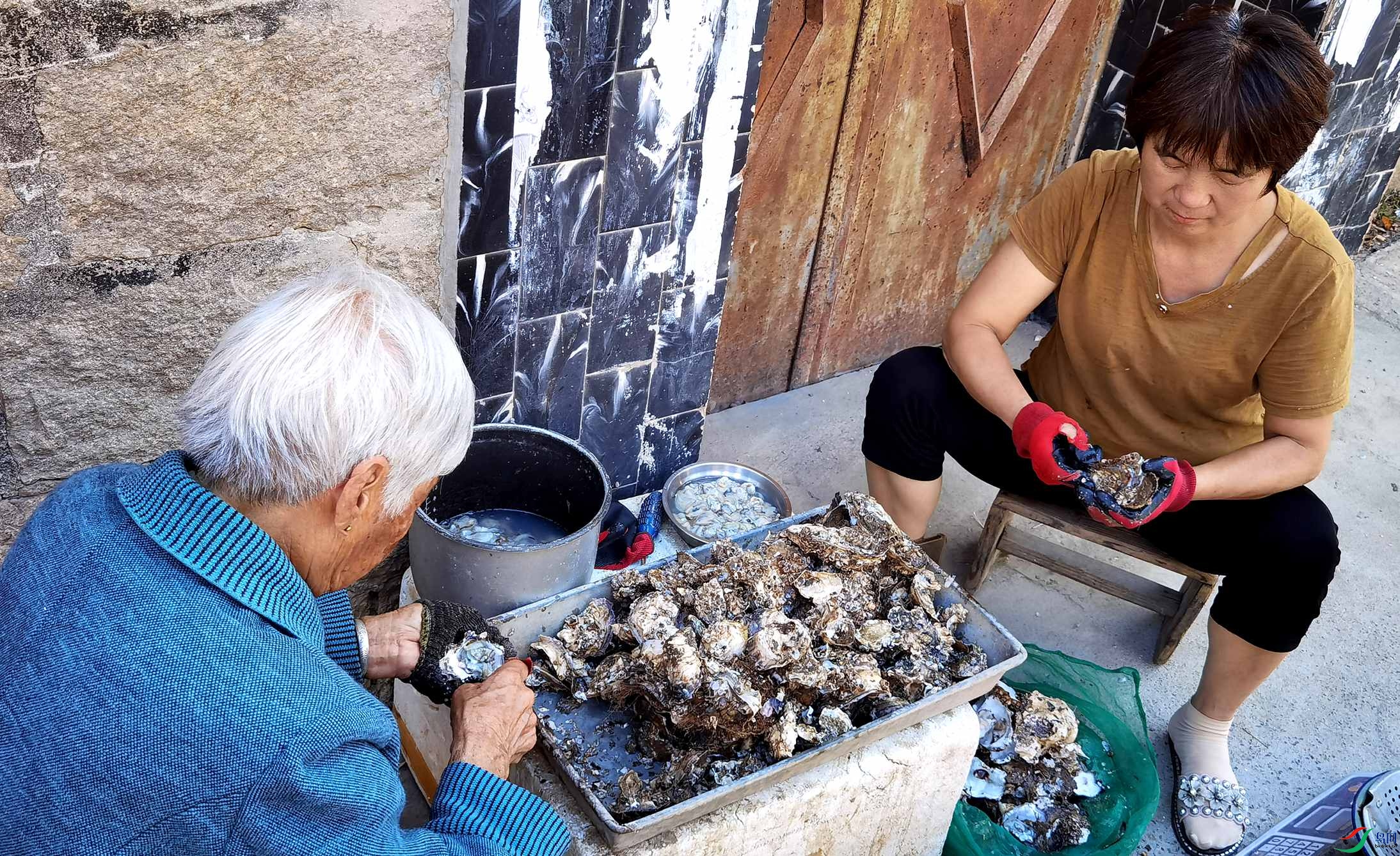 IMG_20201122_125117_����.jpg